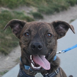 Fundraising Page: Maureen Maurer